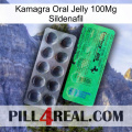 Kamagra Oral Jelly 100Mg Sildenafil new04